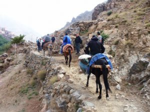 Ascensión al Toubkal con mulas