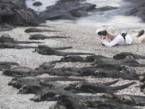 Fotografía durante el Viaje a las Islas Galápagos