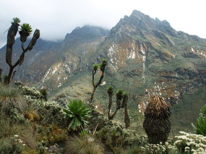 Ascension al Rwenzori Pico Margarita