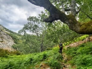 Rumbo al Atalayon: Travesía por el Valle de Las Lanchas