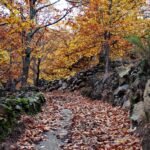 Mirador de Gredos: Senderismo en la Sierra de San Vicente