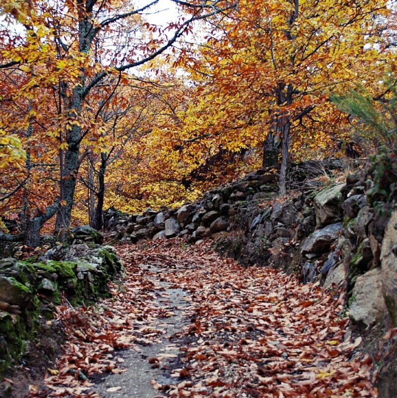 Mirador de Gredos: Senderismo en la Sierra de San Vicente