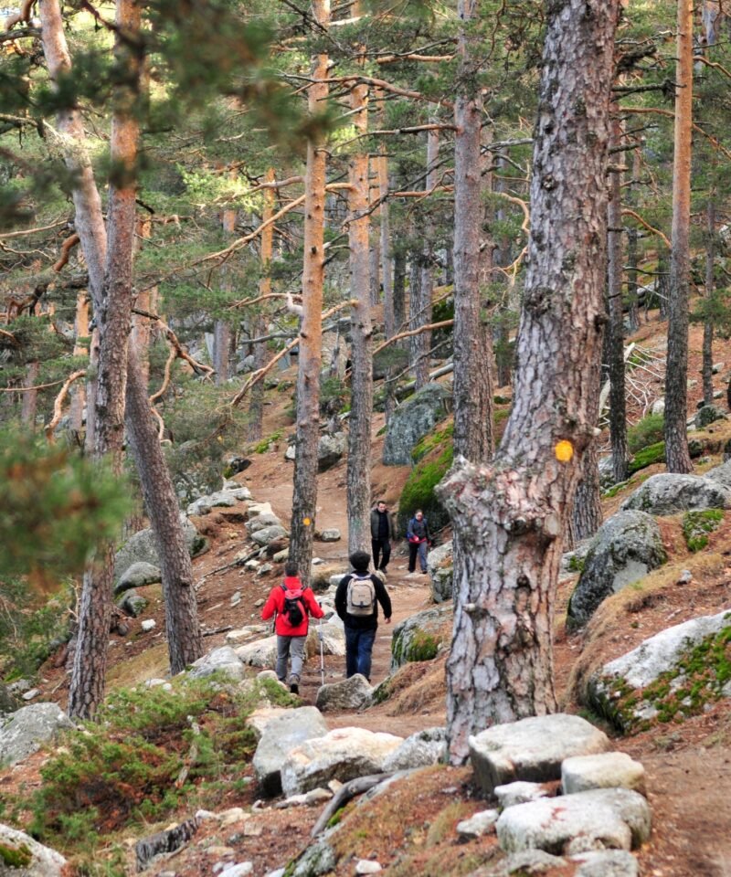La Travesía de los Siete Picos