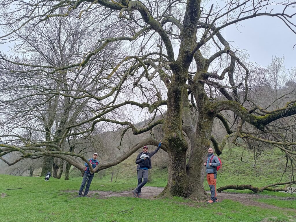 Senderos del Cañón Atazar