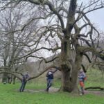 Senderos del Cañón Atazar