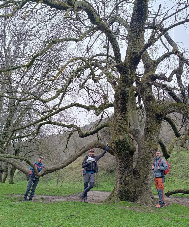 Senderos del Cañón Atazar