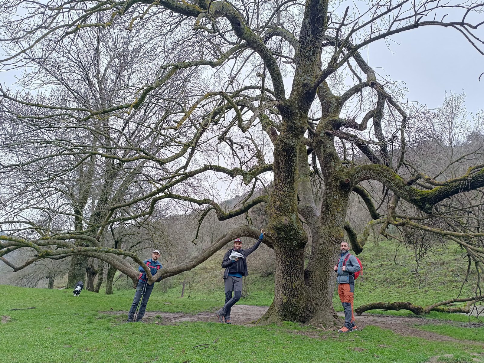 Senderos del Cañón Atazar