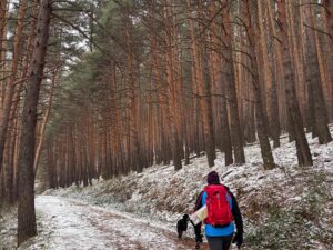 Maravillas de Guadarrama: Chorrera de San Mamés