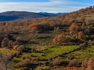 Maravillas de Guadarrama: Chorrera de San Mamés