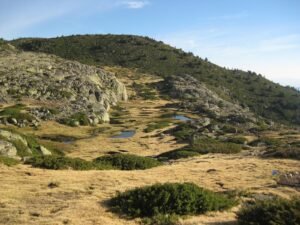 Entre Lagunas y Cumbres: Circular a Peñalara