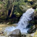 Entre Poetas y Cascadas