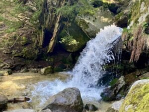 Entre Poetas y Cascadas